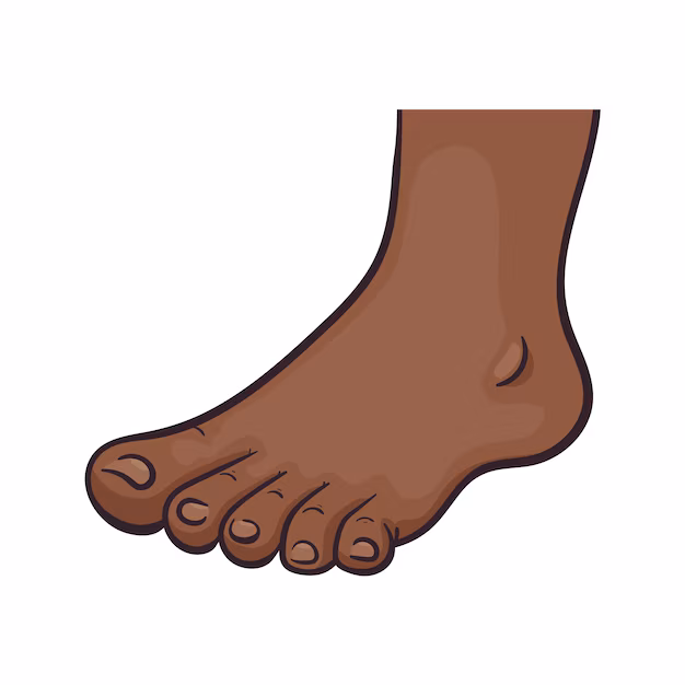 Finding the Best Foot and Ankle Specialist Near You